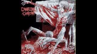 Cannibal Corpse  I Cum Blood 8Bit [upl. by Enahpad]