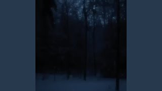 dark snowy night Slowed amp Reverb Version [upl. by Nassah519]