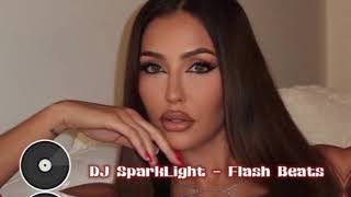 DJ SparkLight  Flash Beats Exclusive 2024 [upl. by Sordnaxela]