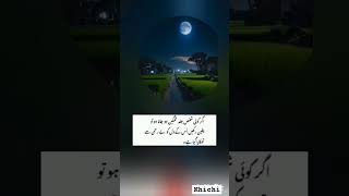 Ghamgeen viralvideo unfrezzmyaccount khichi foryou poetry [upl. by Vlada]