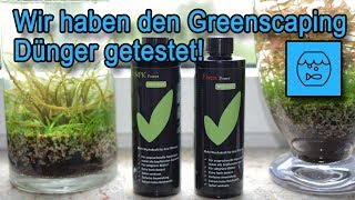 Greenscaping Düngertest im Aquarium  Wir testen den Dünger von Greenscaping Aquascaping im Aquarium [upl. by Airla]