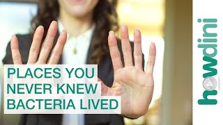 Facts About Bacteria Top 5 Places You Never Knew Germs Lived [upl. by Enirrok745]