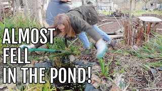 ALMOST FELL IN THE POND Part 1  EMMAS ALLOTMENT DIARIES [upl. by Nivaj]