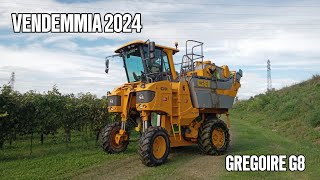 VENDEMMIA PROSECCO 2024 Az Agricola Agrimac [upl. by Sterner]