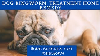 Dog ringworm treatment home remedy  Home Remedies for Ringworm [upl. by Annibo]