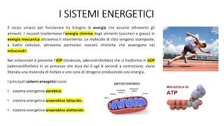 I SISTEMI ENERGETICI  Sintesi per studenti [upl. by Notsgnal]