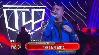 The La Planta en vivo en Pasión de Sábado 22 06 2024 Parte 2 [upl. by Enortna]