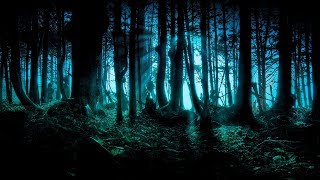 Custodes Noctis 🍄 Forest Psytrance Mix 🍄 Dark Forest Trip Set 🍄 [upl. by Anele]