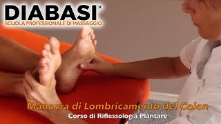 Corso Riflessologia Plantare  DIABASI® Scuola Professionale di Massaggio [upl. by Sula]