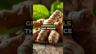 Ginger The Miracle Root for Digestion amp Inflammation [upl. by Paco154]