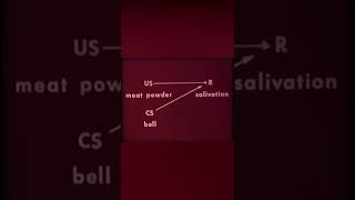 Classical Conditioning  Pavlovs Dog [upl. by Margaux]