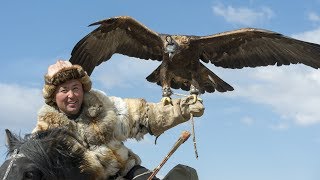 Il dresse un aigle pour chasser à sa place  ZAPPING NOMADE [upl. by Arannahs264]