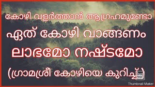 ഗ്രാമശ്രീ കോഴികൾ ലാഭത്തിൽ വളർത്താം Gramasree Kozhi valarthal [upl. by Enna]