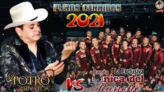 El Potro de Sinaloa y Banda La Exclusiva Unica Del Rancho  Puras Con Banda Mix 2021 \ Exitos De Oro [upl. by Nybbor474]