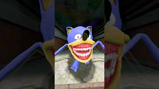 CAN YOU CATCH ALL SIZE SONIC TAPES FAMILY FROM SMALL TO BIG in Garrys Mod [upl. by Ained]