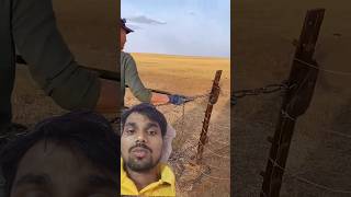 Border per tar ko kasana ke process tools wiremesh satisfying fencingwork shorts ytshorts [upl. by Ettesoj]