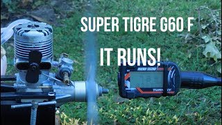 Super Tigre G60 F It Runs [upl. by Enoyrt]