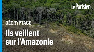 Forêt amazonienne  le Brésil à nouveau surveillé par des satellites contre la déforestation [upl. by Lanta]