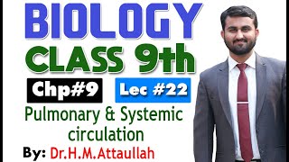 Pulmonary and systemic circulation  Chapter 9  9th class Biology  Lec 22 [upl. by Madid]