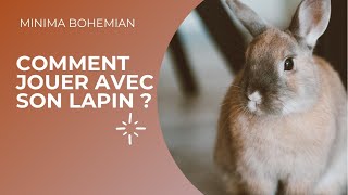 COMMENT JOUER AVEC SON LAPIN [upl. by Lenz]