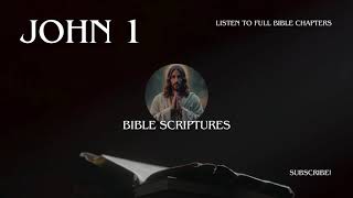 John 1  Book of John Audio Bible from New International VersionNIV [upl. by Neroled]