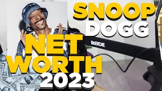 The Shocking Truth About Snoop Doggs Net Worth [upl. by Atilrahc]