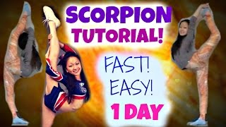 How to Learn a SCORPION  in ONE DAY [upl. by Hebrew]