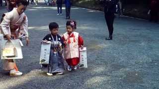 Japanese kids dressed in traditional kimonos  very cute [upl. by Ahseinod766]