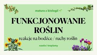 313  Ruchy roślin 🌼  tropizmy nastie aparaty szparkowe 🌷 matura z biologii 📕 liceum [upl. by Ardnuasal306]