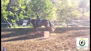 Kings Equestrian 🐎 l GAUTAM Gr 7A 150124 [upl. by Adnavoj]