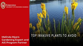 Top Invasive Plants to Avoid [upl. by Enalda241]