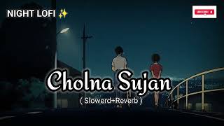 Cholna Sujon  চলনা সুজন  SlowedReverb  Bangla Romantic Song lofi foryou [upl. by Germaun306]