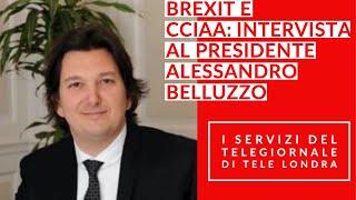 Brexit e Camera di Commercio intervista al Presidente Alessandro Belluzzo [upl. by Darwin]