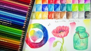 Mondeluz Watercolor Pencil Review  How to draw a mason jar amp poppy [upl. by Ietta306]