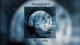 Ali Gatie  Moonlight Lyrics Prod Adriano [upl. by Orren]