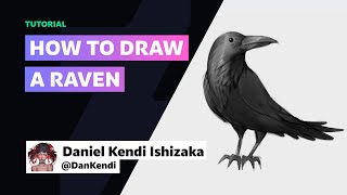 How to draw a Raven w DanKendi  DeviantArt Tutorials [upl. by Ahsenor]