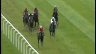 Grosser Preis von Baden 2011 Gr1 Siegerin DANEDREAM [upl. by Landing810]