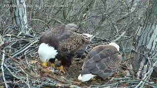 Hays Eagles HM2 brings Mom a Gift Fish 32824 [upl. by Eirellam]