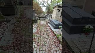 ASMR walk in Graveyard  Headstone Crow cry Cimetière de Montmartre Montmartre Cemetery S684✝️ [upl. by Meier]