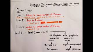 Lymphatic drainage of breastsimplified [upl. by Hurlbut943]