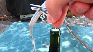 Impossible Toothpick and Fork Wine Bottle Trick [upl. by Crompton887]