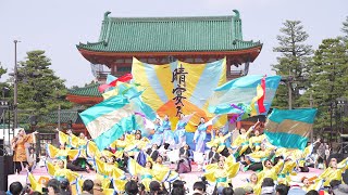 4K 京炎 そでふれ！Tacchi 京都さくらよさこい 2024 さくよさ 1日目 神宮道会場 [upl. by Aeslek848]