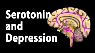 Serotonin and Treatments for Depression Animation [upl. by Nathalie]