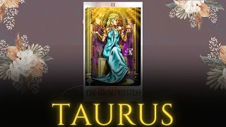 TAURUS TODAY WILL BE YOUR LAST DAY 😱 ATTENTION TO THE PHONE🚨📞 NOVEMBER 2024 TAROT LOVE READING [upl. by Lance761]