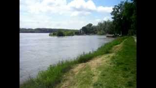 Donau bei Hochwasser in Orth an der Donau beim Uferhaus [upl. by Gnouh]