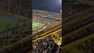 la hinchada de peñarol [upl. by Nilad837]