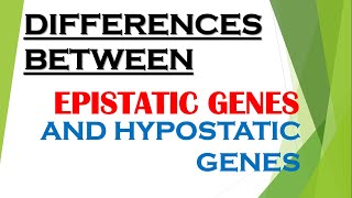 Difference Between Epistatic Gene And Hypostatic Gene  Epistatic Gene  Hypostatic Gene [upl. by Misak660]