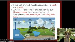 Biogeochemical Cycles [upl. by Lulita]