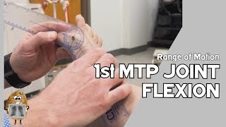 ROM Metatarsophalangeal MTP Joint I Flexion Active amp Passive Range of Motion [upl. by Suoilenroc]