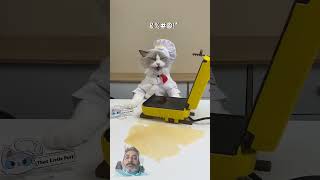 Funny cat 2 cat whatshouldpuffdo funny puffiness shorts youtubeshorts viralvideo [upl. by Carin]